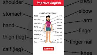 Parts Of The Body Vocabulary In English