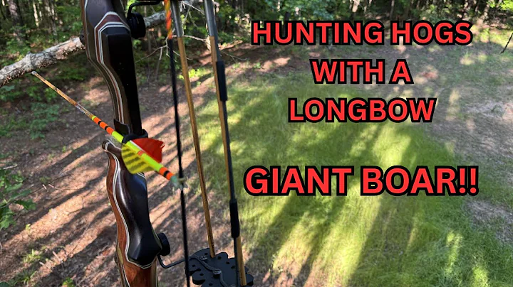 Hog Hunting With A Longbow...Giant Boar!!!