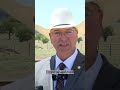 2 pilots killed in Army Apache helicopter crash, wildfire sparked