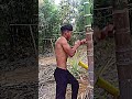 Day 4 boxing practice desi Workout #motivation #hunk