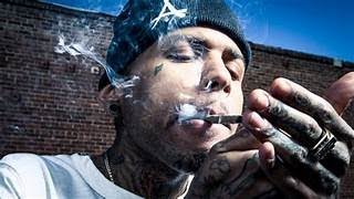 Kid Ink. - Cool back