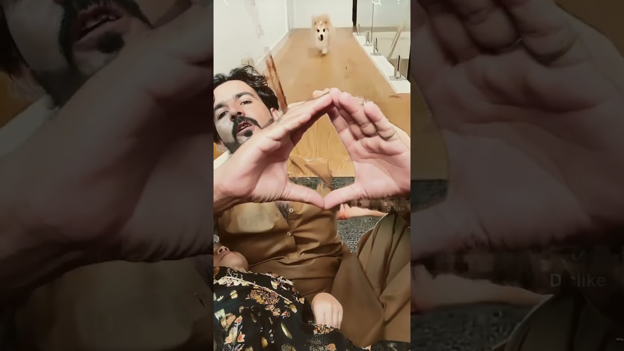 common sense media the World 🌎