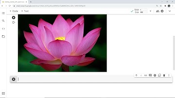 Opencv with Google Colab | Read, Display, and Write Images using OpenCV  in google Colab