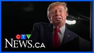 A look at how New Brunswick could be affected and how the province will respond to Trump's tariffs