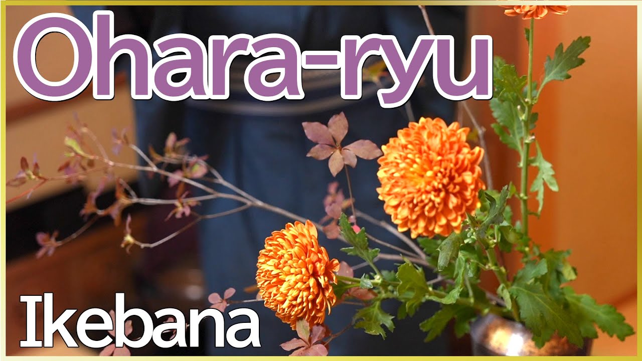 Ikebana Performance | A Famous Ohararyu Ikebana Artist Performs for Us!