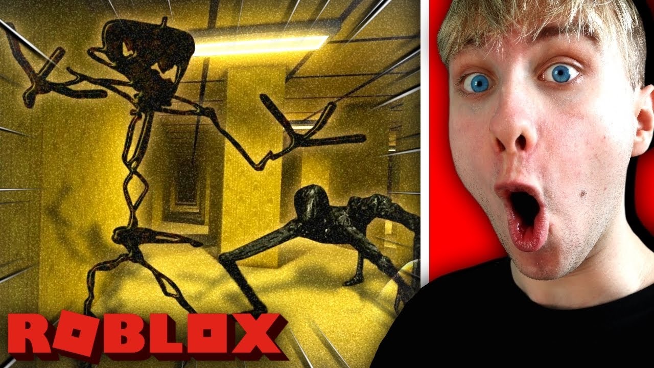 NEJSTRAŠIDELNĚJŠÍ ROBLOX BACKROOMS HRA ?! 😨 | Apeirophobia