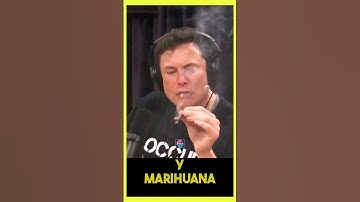 Elon musk fumando Marihuana