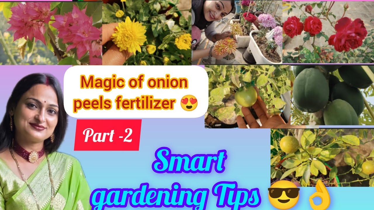 Полезные советы по садоводству 😎 часть 2/Магия удобрения из луковой кожуры 😍||#садоводство #идеид...