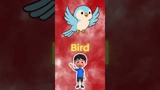 B Words for Kids | Learn Ball, Banana, Bear, Bird, Book | Fun English Vocabulary for Children
