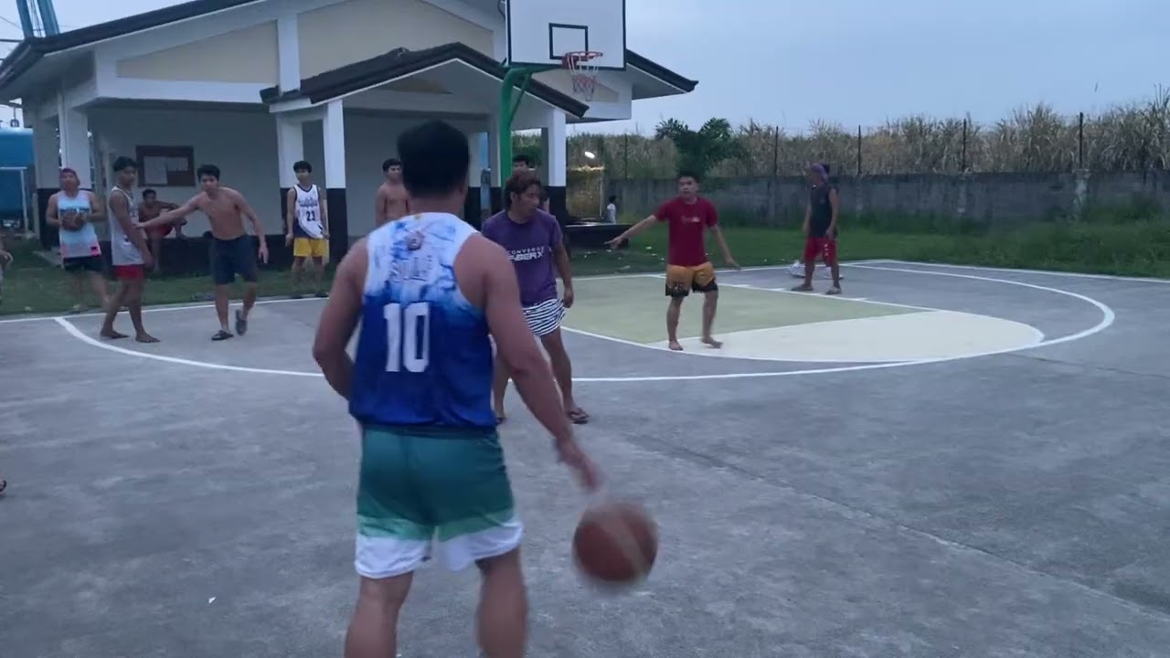 Gelo Highlights 01/2026