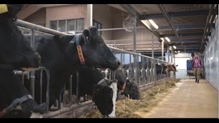 DeLaval: Streamlining dairy production solutions