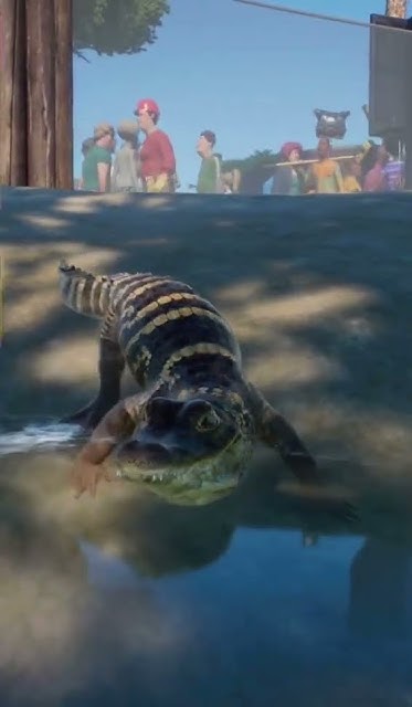 Planet zoo American alligator - YouTube