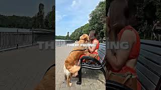 Myron Mocks How Women Train Dogs