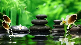 Goodbye Insomnia with Piano and Water Sounds🌿Relaxing Music to Sleep #3 by Peaceful Relaxation 1,978 views 3 weeks ago 3 hours, 43 minutes