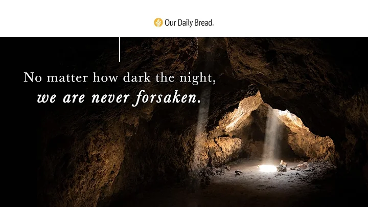 A Great Light | Audio Reading | Our Daily Bread Devotional | November 30, 2021