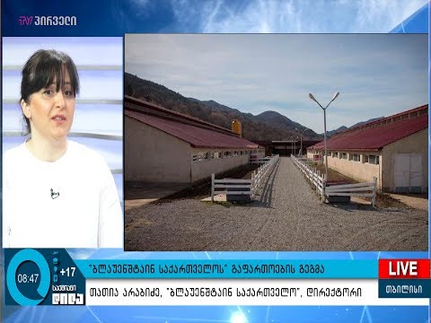 \"ბლაუენშტაინ საქართველოს\" გაფართოების გეგმა