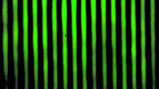 Michelson interferometer vertical
