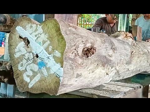 Sealed teak wood full of old and beautiful grain on a furniture board ...