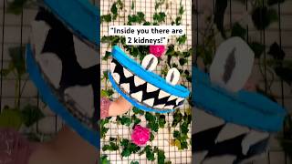 CYAN Takes A Kidney😈👀// #dragonpuppets #puppetdragon #rainbowfriends #roblox #shorts #shortsfeed