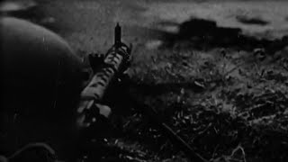 Tvmvlo - Desolation Fields