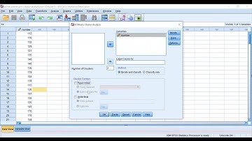 How to conduct a non hierarchical cluster analysis on SPSS (Part 1)