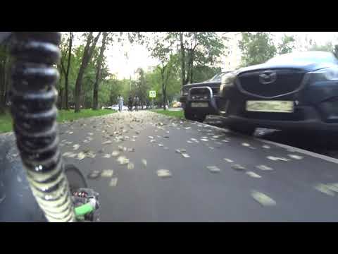 Из света во