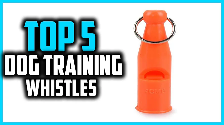 ✅Top 5 Best Dog Training Whistles in 2025