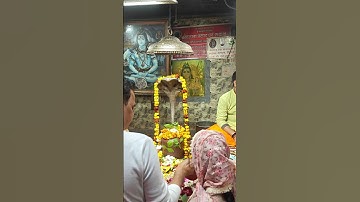 "Har Har Mahadev 🙏 Shivling Abhishek Darshan | Divine Morning Vibes" #shorts #shorfeed #viralreels