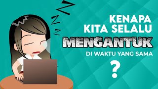 Why Are We Always Sleepy At The Same Time Every Day?