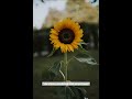 #shorts #trending #share #viral