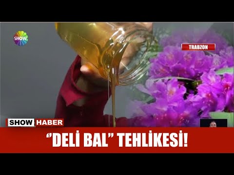 ''Deli bal'' tehlikesi!