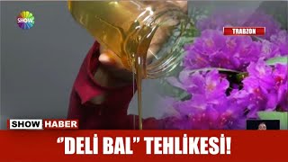 ''Deli bal'' tehlikesi! Resimi