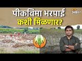 Crop Insurance : अतिवृष्टीमुळे राज्यातील २५ लाख हेक्टरवरील पिकांचे नुकसान | Agrowon