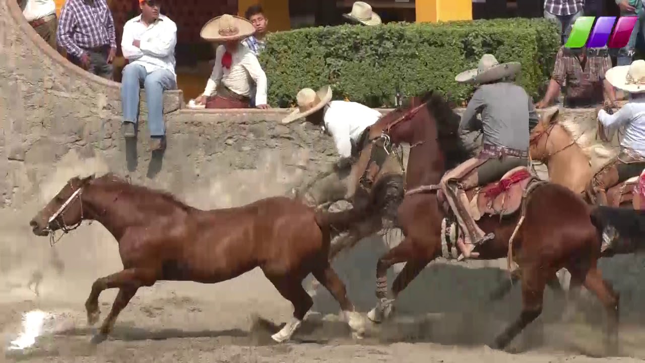 DLM180 210318 55º Aniversario Charros del Pedregal Torneo Abierto Bloque 2 YouTube DLM180 210318 55º Aniversario Charros del Pedregal Torneo Abierto Bloque 2 YouTube