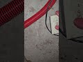 swarm roundup