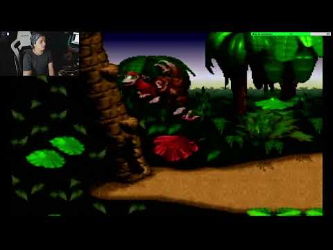 Donkey kong Country 101% (en vivo)