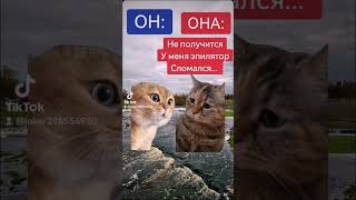 #коты #котики #смех#смешноевидео #юмор #мем #cats #funnycats #funnyvideos #funnyshorts #fun#funny