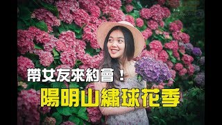 2019陽明山繡球花景點推薦，整片花海配小油坑超美！網美先拍 ...