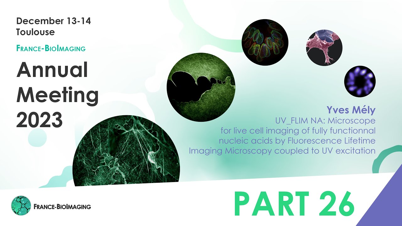 Yves Mély - Virtual microscopy: from microscope to virtual reality - FBI 2023