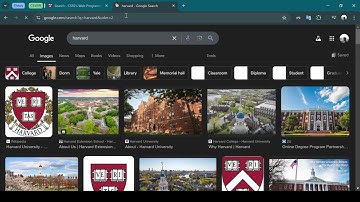 Harvard University CS50w Project 0: Search