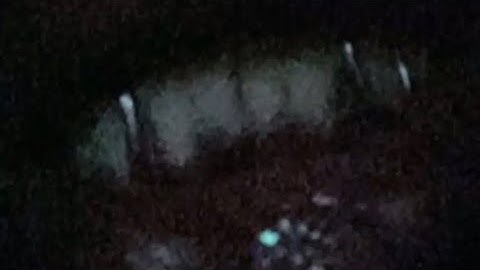 Apb Reloaded ￼ Pantheon Ft Opal Packing  ￼ 🤡 1080p60 Ft Veurn / Razor (PS5)