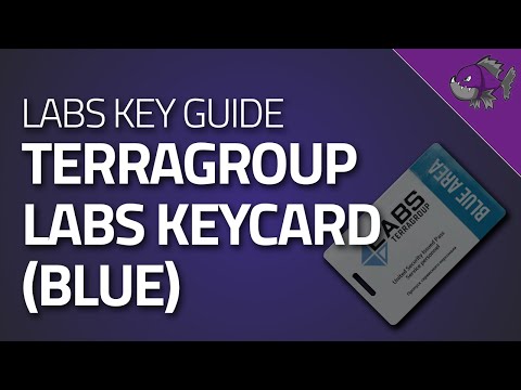 Video: Verdwijnen blauwe keycards?