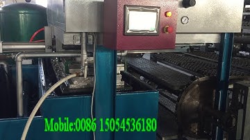 1000pcs/h egg tray machine with drying line whar