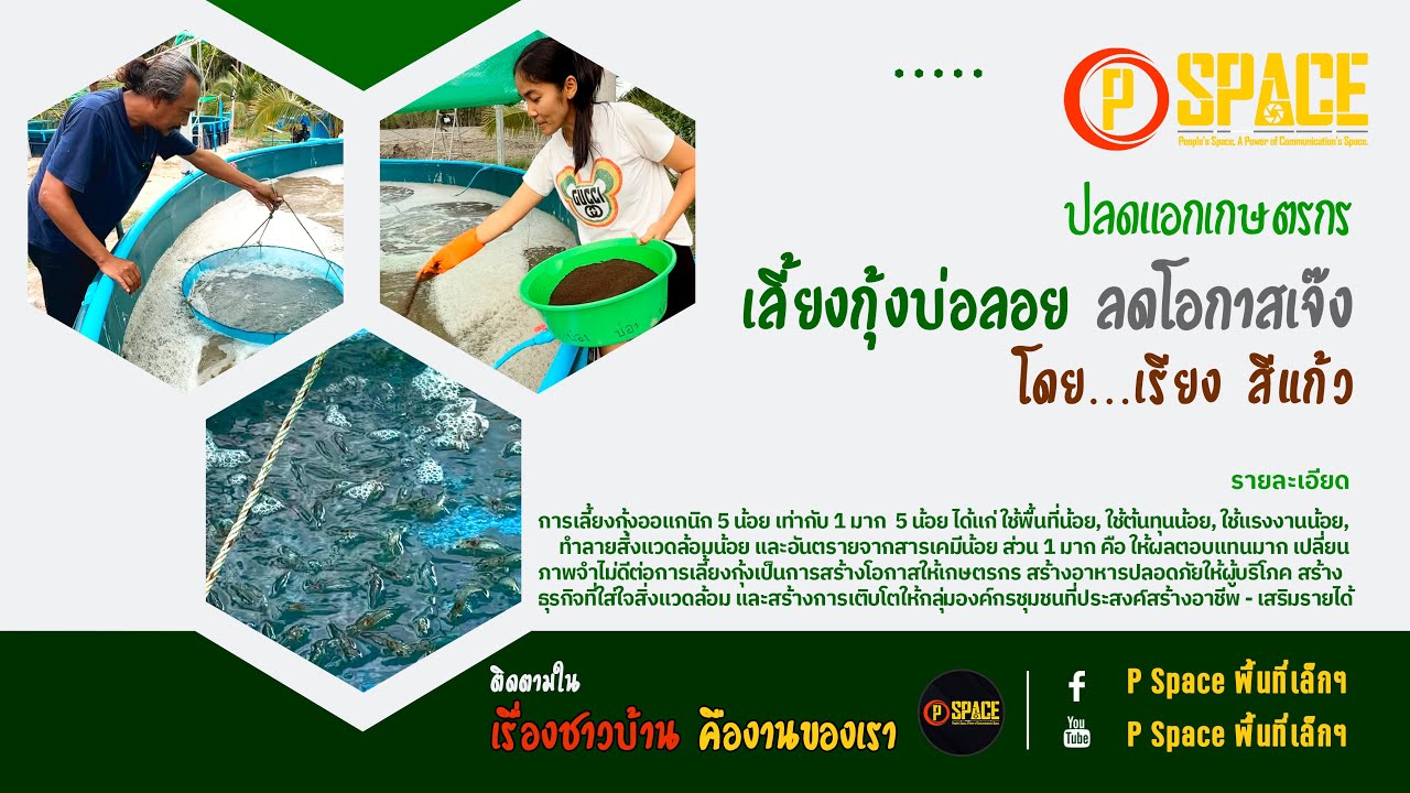 เลี้ยงกุ้งบ่อลอย (แบบอินทรีย์) คืนทุนทันทีใน 1 รอบการขายแรก เลี้ยงรอบถัดไปรอรับกำไรได้เลย