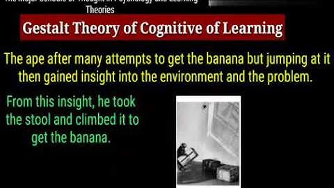 Gestalt Theory of Cognitive Development