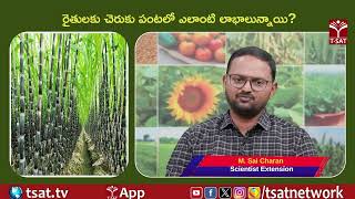 రైతులకు చెరుకు పంటలో ఎలాంటి లాభాలున్నాయి ? | T-SAT