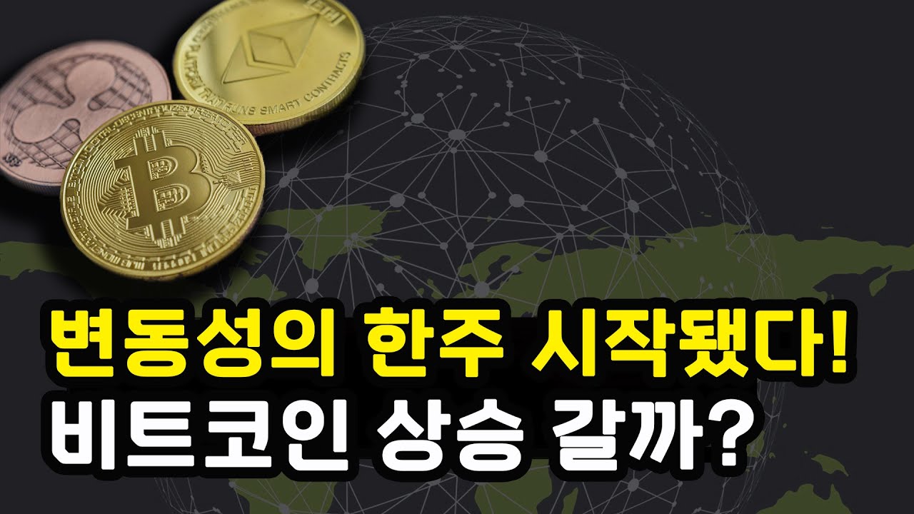 10년 존버한 고래가 던졌다! 이번 주, 역대급 변동성 경고 이더리움 솔라나 리플