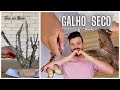 DECORAÇÕES INCRÍVEIS com GALHO SECO - Eduardo Wizard