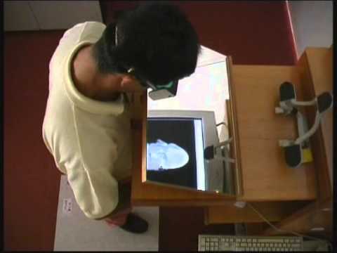 Head Tracked Direct volume Rendering with shading for Medical Data Exploration