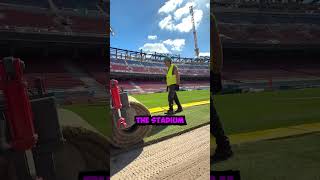 Why Stadium Grass Looks Fake 😳